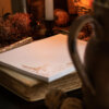 BLOC-NOTES TOD - THE FOX & THE HOUND – Image 6