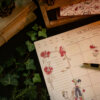Planning mensuel "Pinocchio" - (Vide-Atelier) – Image 4