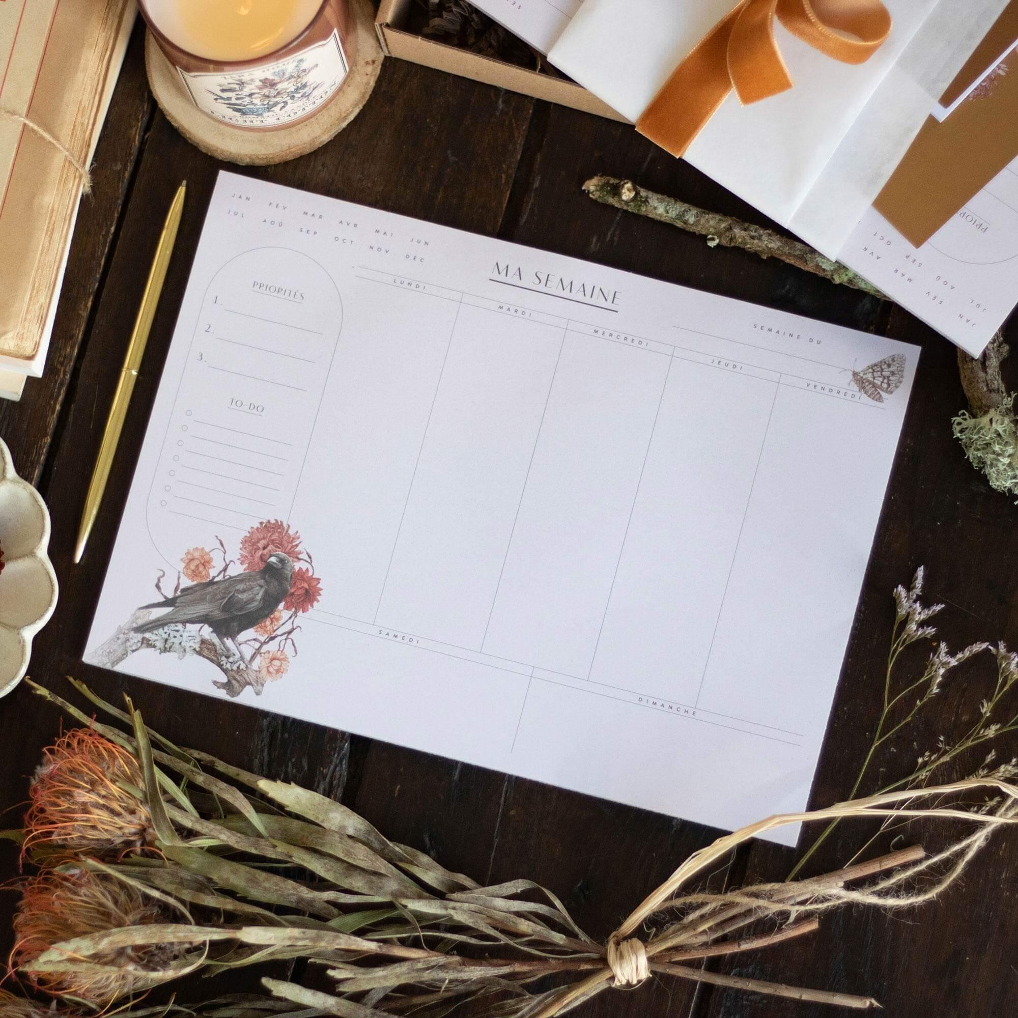 Semainier - The Raven